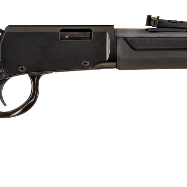 ROSSI RIO BRAVO 22WMR BK/SY 20″    #