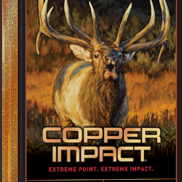 WINCHESTER COPPER IMPACT 300WM 180G LF 20RD BX 200RD CASE