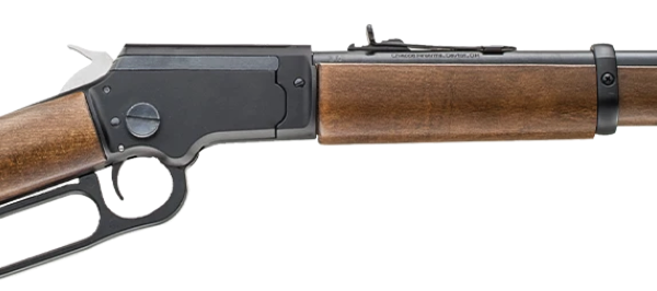 CHIAPPA LA322 BANDIT TAKEDOWN 22LR RIFLE WOOD STOCK 12″ BARREL PISTOL GRIP/WOOD STOCK