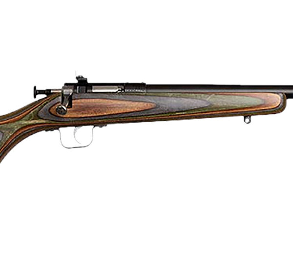 Chipmunk 00005 Gen2  22 LR 1rd 16.10″ Blued Tapered Single Shot Barrel, Fixed Camo Laminate Stock