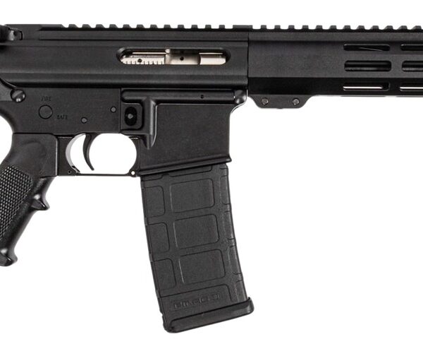 Dpms Panther Arms DP51655231683 DP-15 Shortacle 300 AAC Blackout 30+1 10.50″ Black Nitride Threaded Barrel, Black Hardcoat Anodize Aluminum Receiver w/Picatinny Rail. M-LOK Handguard, Black Polymer Ad