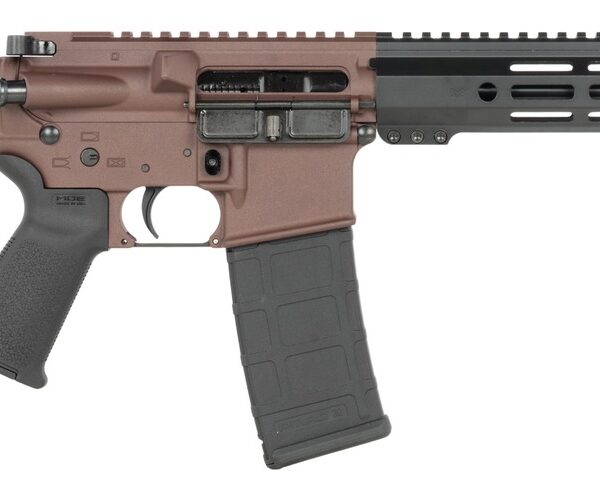 Shark Coast Tactical SCC07190HOLM-P Holmes  5.56 NATO 30+1 10.50″ Black Nitride Threaded Barrel, Aluminum Receiver w/Picatinny Rail, M-LOK Handguard, Polymer SB Tactical SBA3 Brace, Polymer Grip