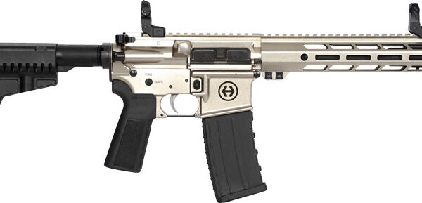 HIPOINT PISTOL HP-15 300 AAC – 10.5″ 30RD BLADE BRACE SILVER
