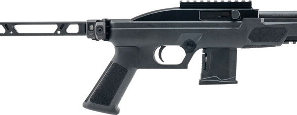 ROSSI RS22 22LR 10-SHOT 6″ – BLACK W/BRACE