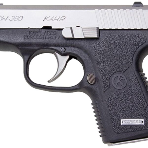 CW380 2.58′ BLACK/STS W/6RD MAG