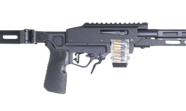 ADX Pistol 22LR 10.2″ TB Brce Blk 20-rd