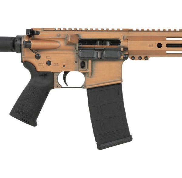 Shark Coast Tactical SCC07244PEN-P Penny  5.56 NATO 30+1 10.50″ Black Nitride Threaded Barrel, Aluminum Receiver w/Picatinny Rail, M-LOK Handguard, Black Polymer SB Tactical SBA3 Brace, Polymer Grip